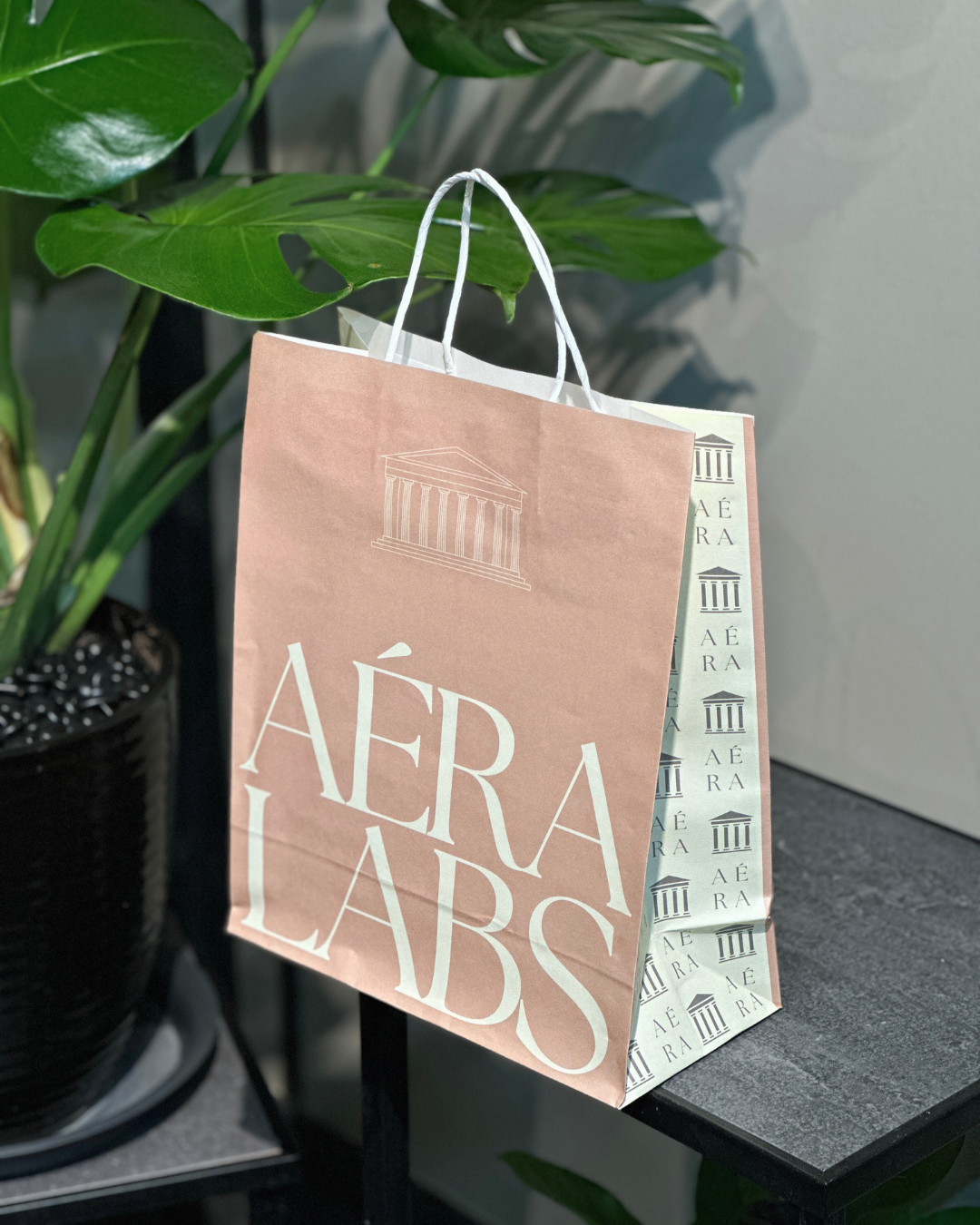 Aéra Labs Paper Gift Bag