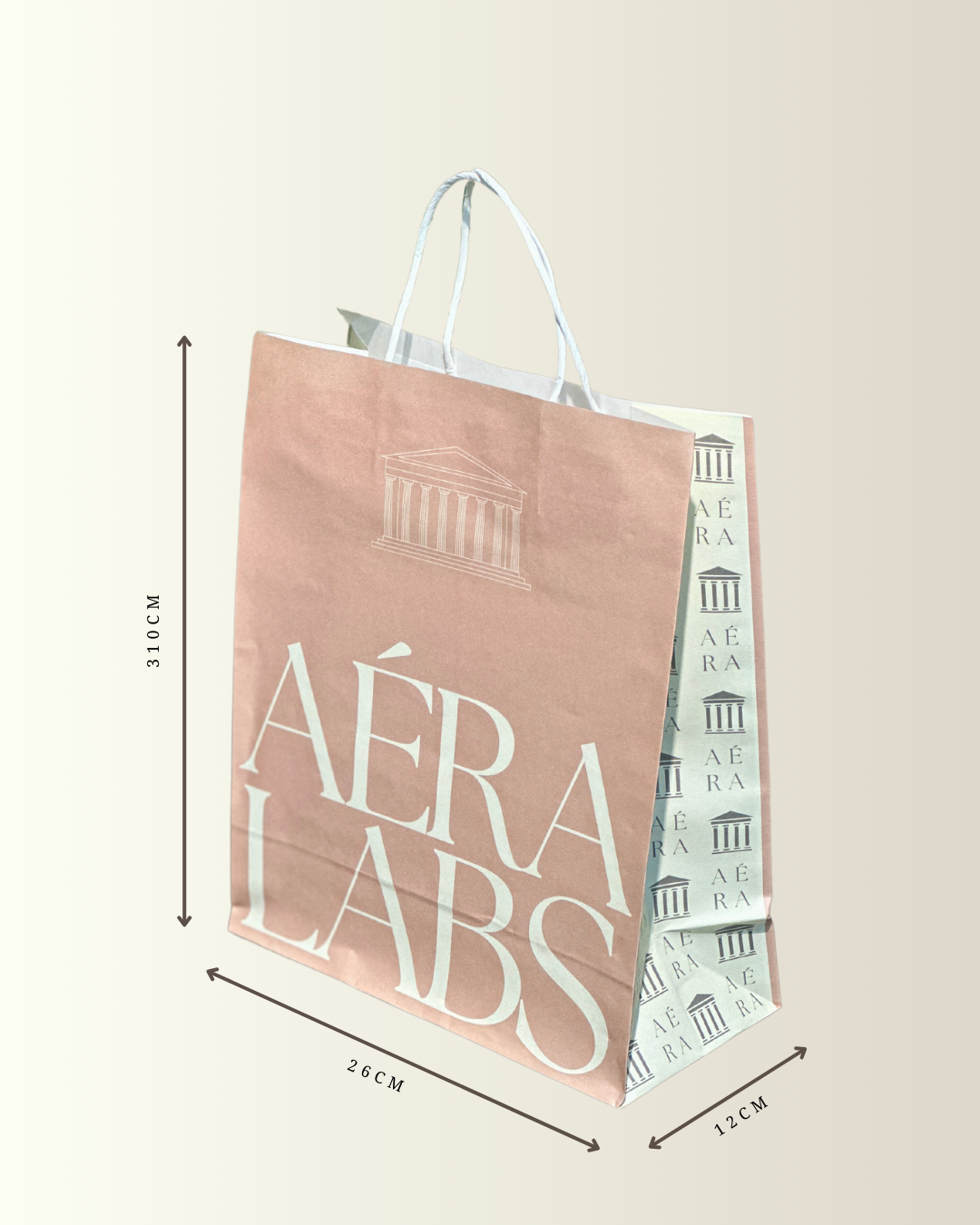 Aéra Labs Paper Gift Bag