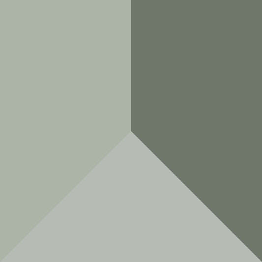 The Shower Essentials [Set of 3] | Bergamot & Patchouli